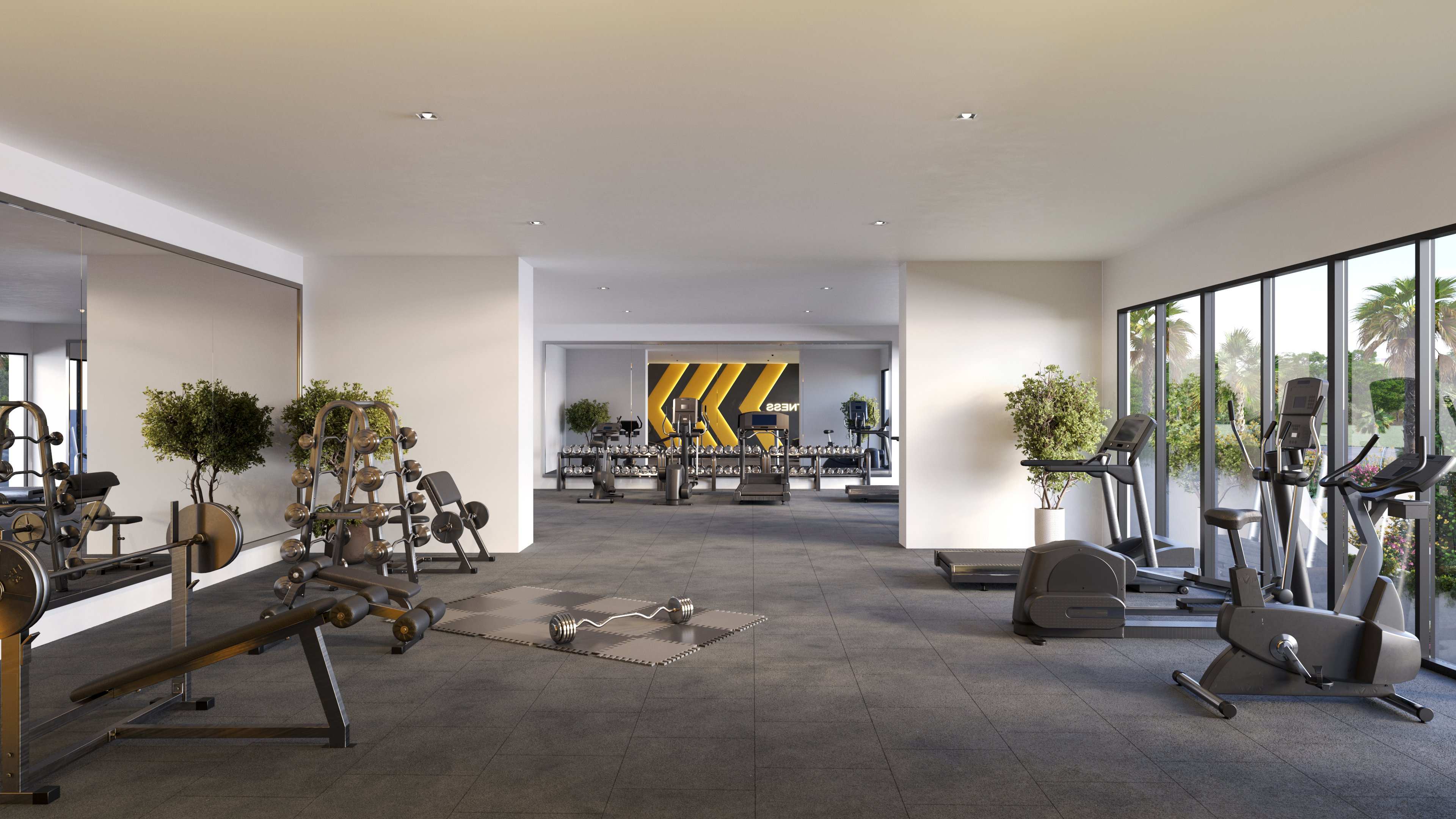 A view of a gym with an exercise bike, an elliptical, a treadmill, and weights, with a mirror on one side and a large window with a view on the other