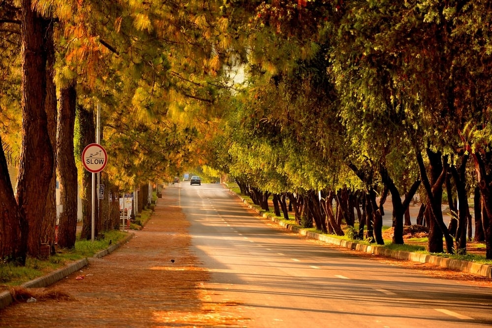 Clean, Low-Density Urban Environment