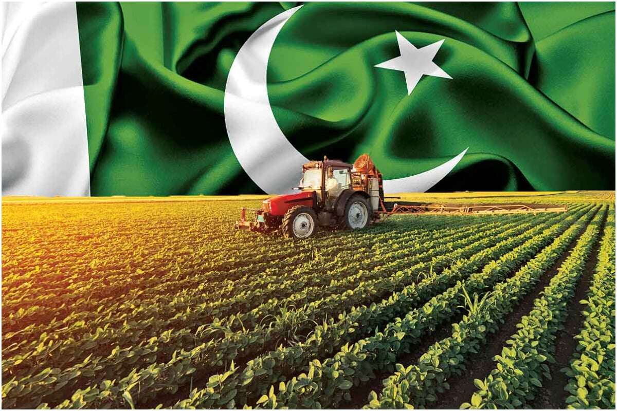 IT and Agriculture: The Future of Pakistan