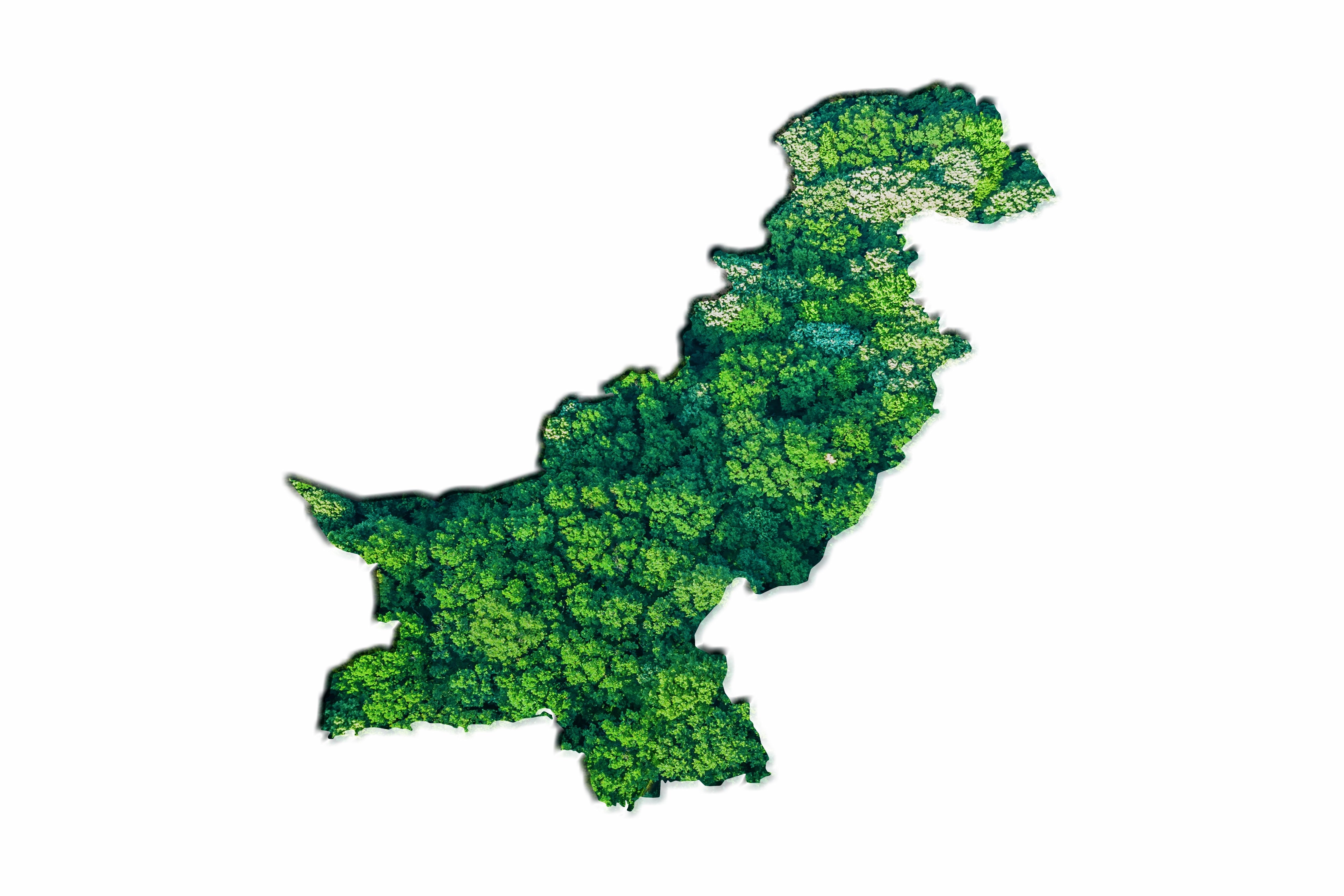 Pakistan’s Move Toward a Greener Future