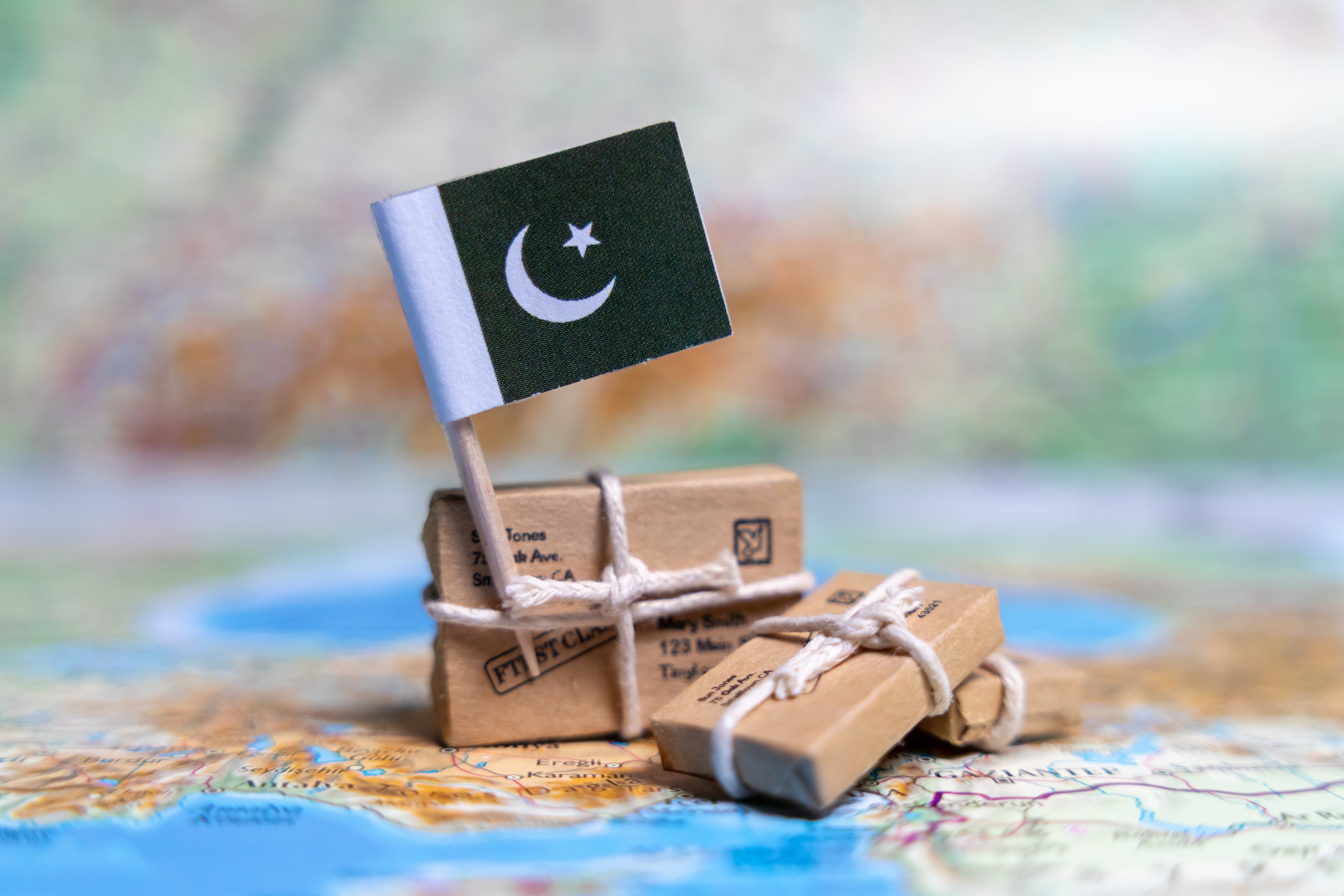 Why Overseas Pakistanis Find Home in Their Heritage